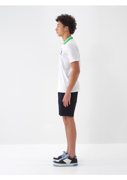 Polo Yaka %100 Pamuk Regular Fit Nakışlı Tişört fırsatları