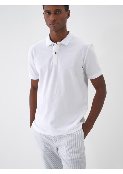 Polo Yaka %100 Pamuk Regular Fit Basic Tişört fiyatları