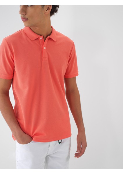 Polo Yaka %100 Pamuk Regular Fit Basic Tişört