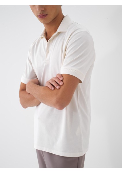 Polo Yaka Pamuklu Regular Fit Basic Tişört fiyatları