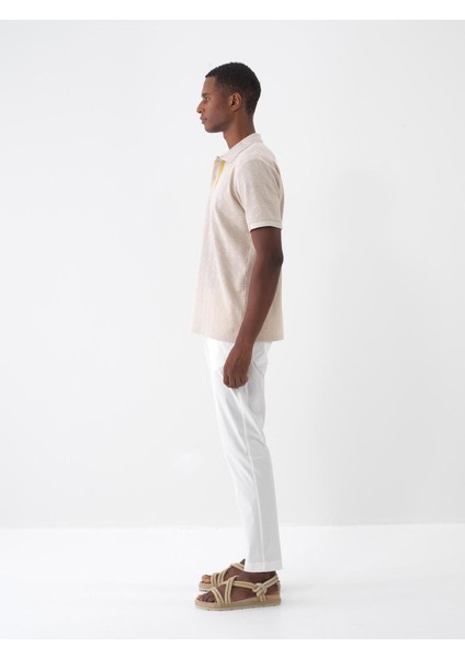 Polo Yaka Pamuklu Regular Fit T-Shirt