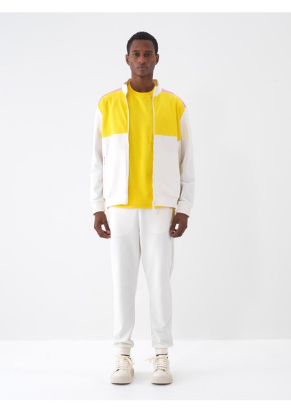 Dik Yaka Pamuklu Regular Fit Sweatmont