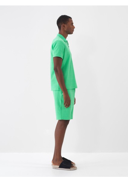 Polo Yaka Pamuklu Regular Fit T-Shirt