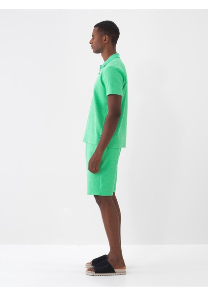 Polo Yaka Pamuklu Regular Fit T-Shirt