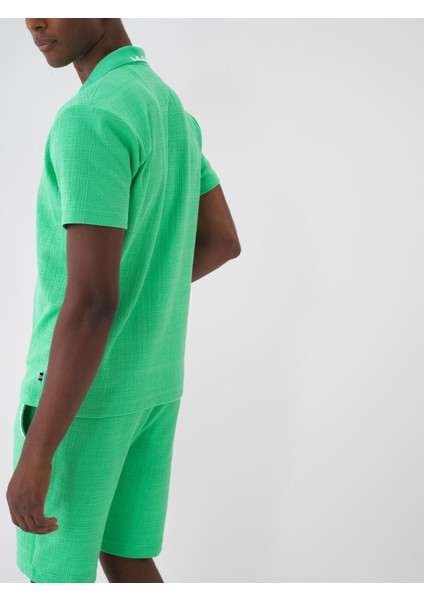 Polo Yaka Pamuklu Regular Fit T-Shirt