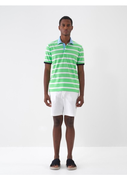 Polo Yaka %100 Pamuk Regular Fit Çizgili T-Shirt