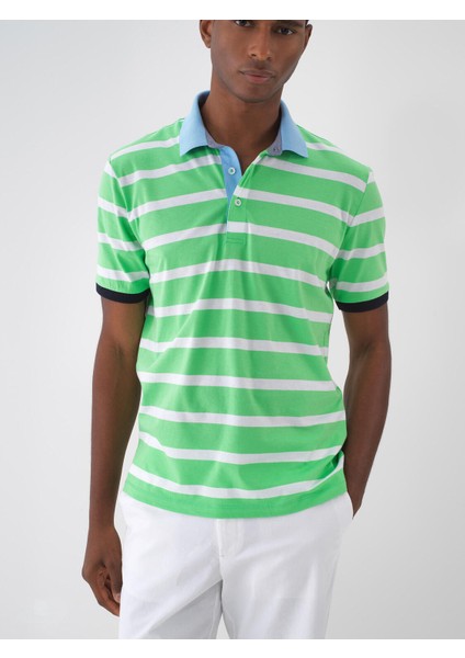 Polo Yaka %100 Pamuk Regular Fit Çizgili T-Shirt