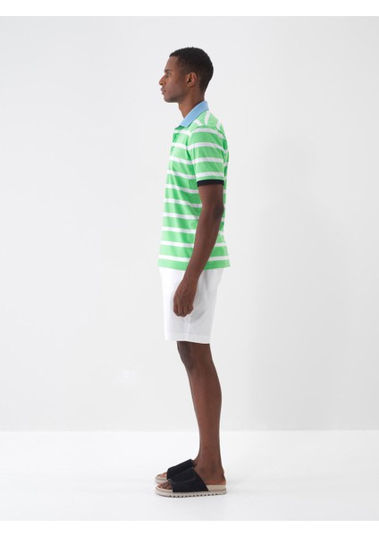 Polo Yaka %100 Pamuk Regular Fit Çizgili T-Shirt
