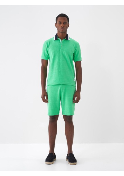 Polo Yaka Pamuklu Regular Fit T-Shirt