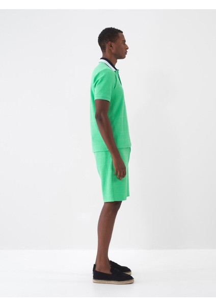 Polo Yaka Pamuklu Regular Fit T-Shirt