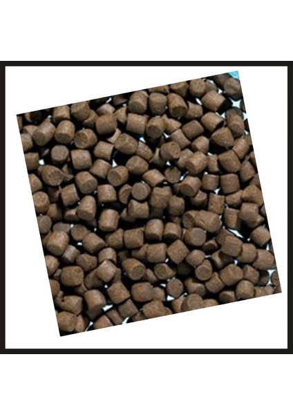 Uyguna-Yakala 1 Kg Extrude Plus 4mm Alabalık Yemı-Spe.024