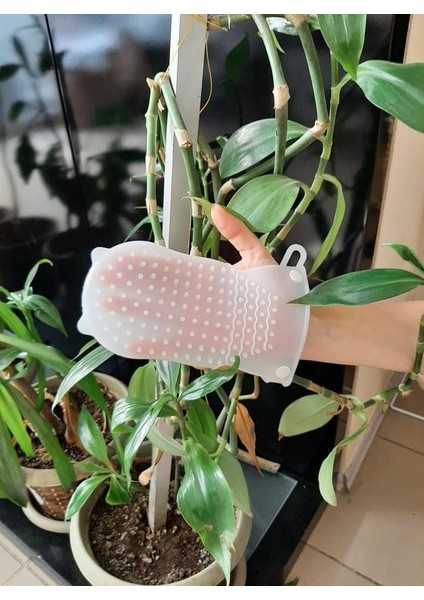 Selülit Masaj Eldiveni fiyatları