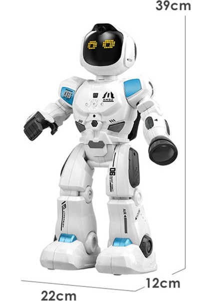 Akıllı Etkileşimli Kumandalı Robot