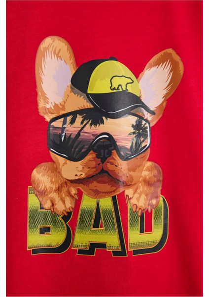 Spark Çocuk Tişört 24.06.07.008-C54 24.06.07.008-C54003 modelleri