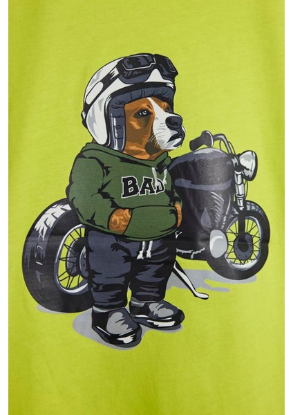 Fave Çocuk Tişört 24.06.07.006-C120 24.06.07.006-C120006 fiyatları