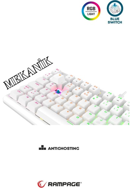 Claw Blue Switch Rainbow Tkl Mekanik Gaming Oyuncu Klavye ( Anti-Ghosting )