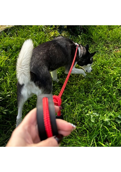 Ayarlanabilir Boğma Köpek Eğitim Antreman Itaat Boyun  Gezdirma Tasması