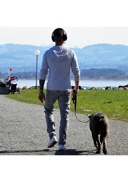 Ayarlanabilir Boğma Köpek Eğitim Antreman Itaat Boyun Gezdirma Tasması