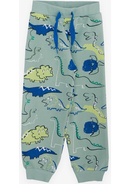 Girls & Boys Erkek Çocuk Eşofman Takım Dinozor Desenli Bağcık Aksesuarlı 2-6 Yaş, Mint Yeşili fırsatları