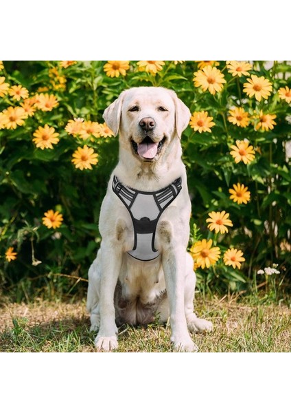 Köpek Koşum Takımı, 2 Tasma Klipsli, Geri Çekilemeyen Evcil Hayvan Koşum Takımı, Correcta Beyaz (Yurt Dışından) indirimleri