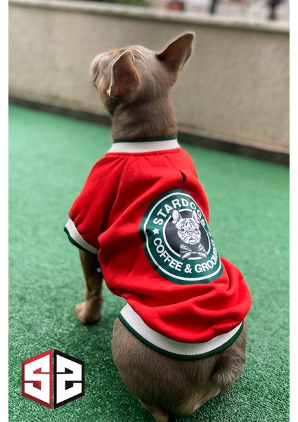 Stardogs Köpek College Ceket, Köpek Kıyafeti, Köpek Ceketi