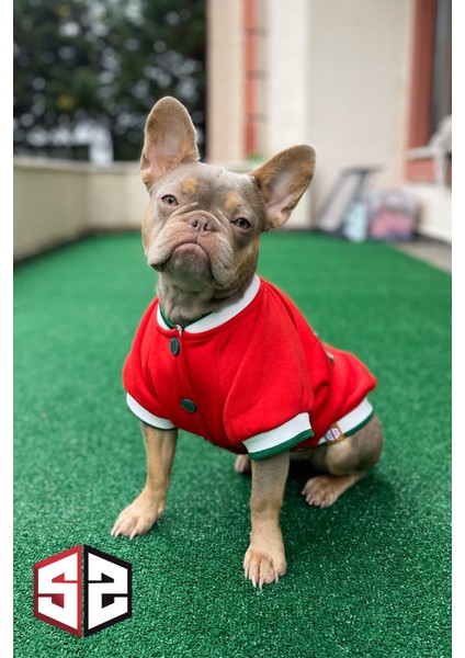 Stardogs Köpek College Ceket, Köpek Kıyafeti, Köpek Ceketi modelleri