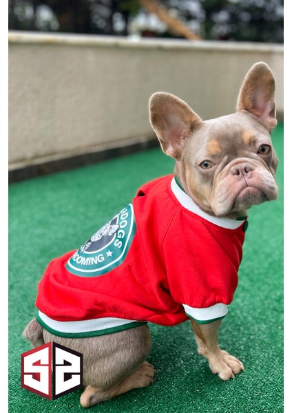 Stardogs Köpek College Ceket, Köpek Kıyafeti, Köpek Ceketi fırsatları