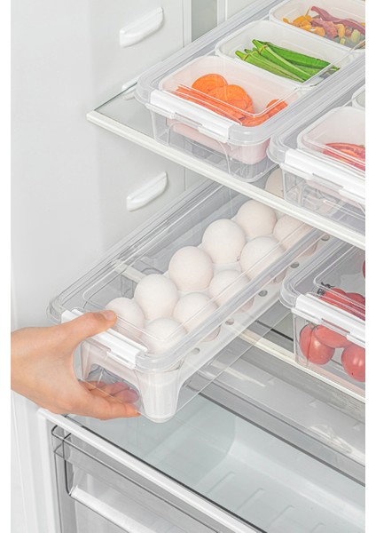 4lü Kilitli Kapaklı Uzun Saklama Kabı Seti 2x(2,5 Litre Kutulu)2x(3,5 Litre Boş ve Yumurtalıklı)