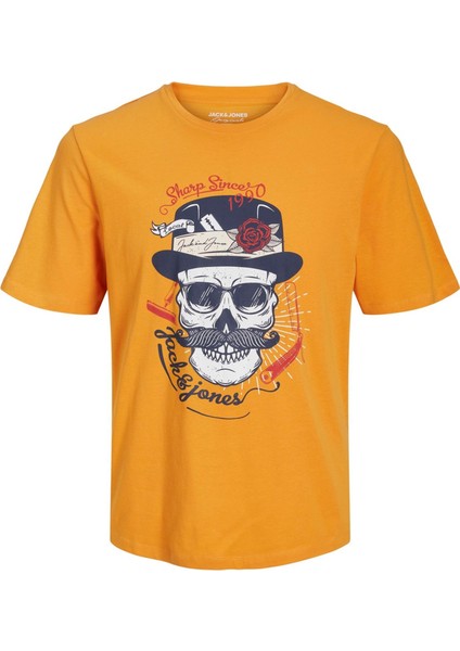 Roxbury Tee Ss Crew Neck Sn Erkek Sarı Tshirt 12227779-22