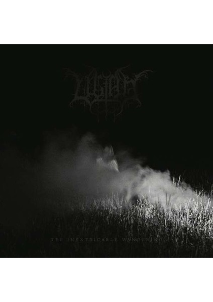 The Inextrıcable Wanderıng-Cd