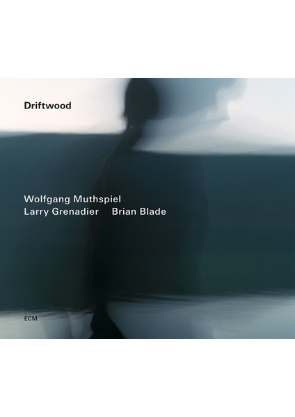Drıftwood-Cd
