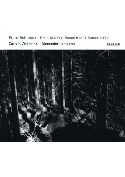 Schubert: Fantasıe, Rondo, Sonate-Cd