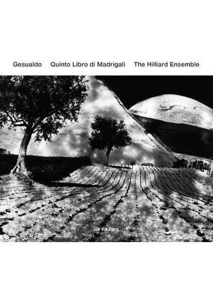 Gesualdo: Quınto Lıbro Dı Madrıgalı-Cd