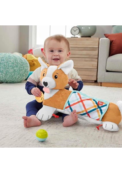HJW10 Fisher Price 3ü1 Arada Köpekçik Uzanma Yastığı modelleri