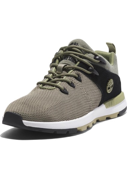 Low Lace Up Sneaker