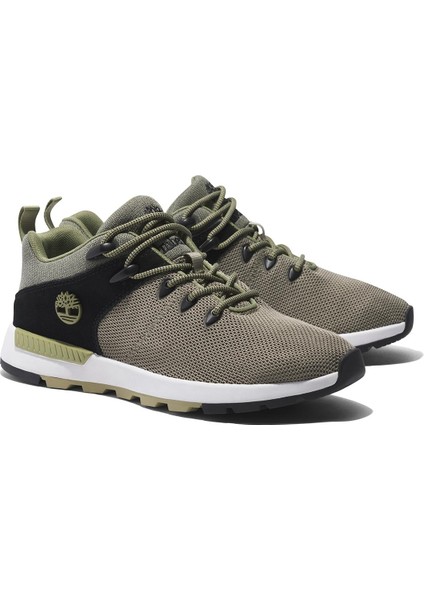 Low Lace Up Sneaker