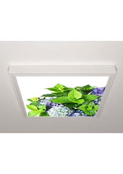60X60 LED Panel Sıva Üstü Desenli Tekli 46510704SU