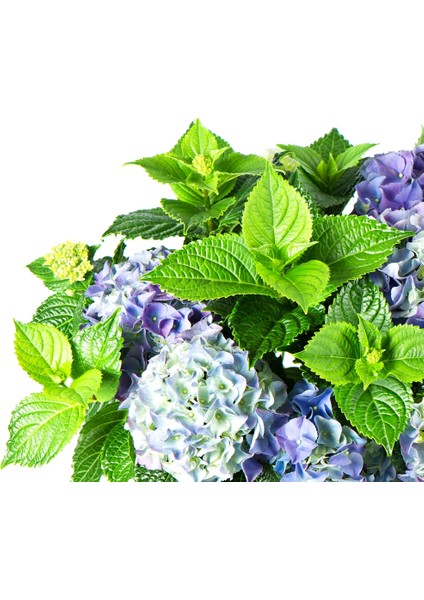 60X60 LED Panel Sıva Üstü Desenli Tekli 46510704SU
