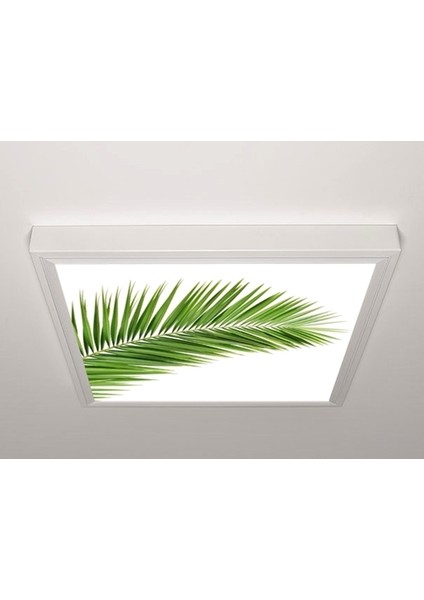 60X60 LED Panel Sıva Üstü Desenli Tekli 46510911SU