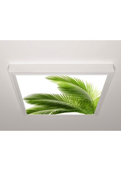 60X60 LED Panel Sıva Üstü Desenli Tekli 46510915SU