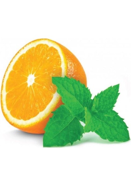 Portakal Aromalı Granada Nane Fidesi (2 Adet)