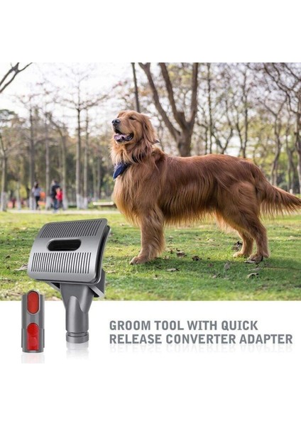 Evcil Köpekler Için Damat Alet Seti - Dyson V6 V7 ve Dc Serisi Için, Kilitli (Yurt Dışından)