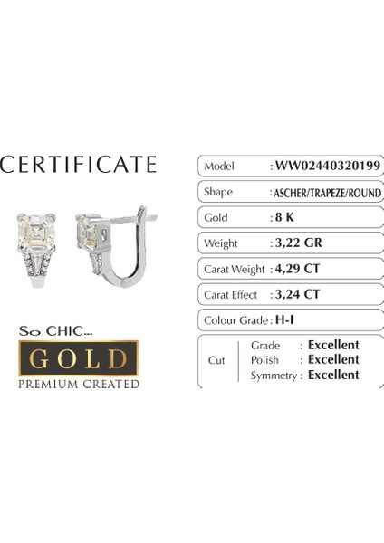 Beyaz Altın Sertifikalı Premium Created Ascher Kesim Taşlı Küpe fiyatları