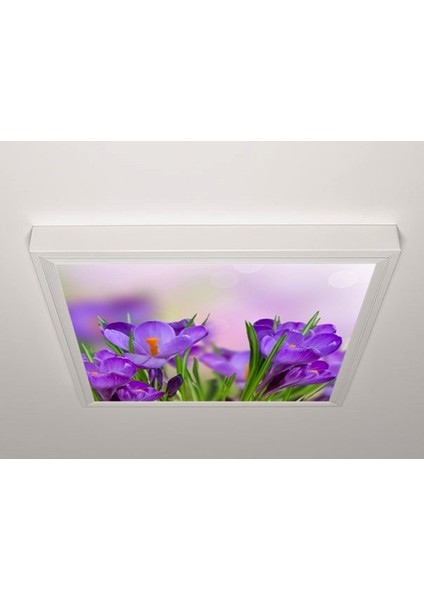 60X60 LED Panel Sıva Üstü Desenli Tekli 46510955SU