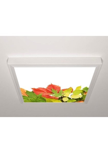 60X60 LED Panel Sıva Üstü Desenli Tekli 46510986SU