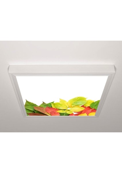 60X60 LED Panel Sıva Üstü Desenli Tekli 46510995SU