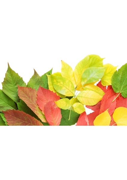 60X60 LED Panel Sıva Üstü Desenli Tekli 46510995SU modelleri