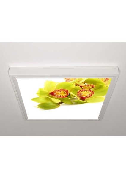 60X60 LED Panel Sıva Üstü Desenli Tekli 46511000SU