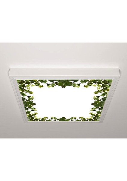 60X60 LED Panel Sıva Üstü Desenli Tekli 46511019SU