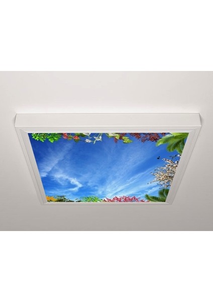 60X60 LED Panel Sıva Üstü Desenli Tekli 46511073SU
